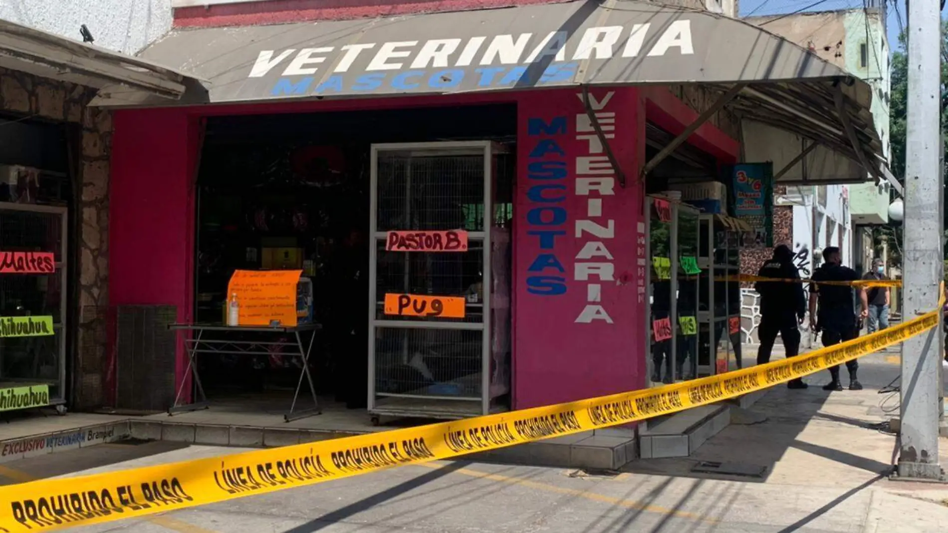 Asesinato en veterinaria de San Juan de Dios